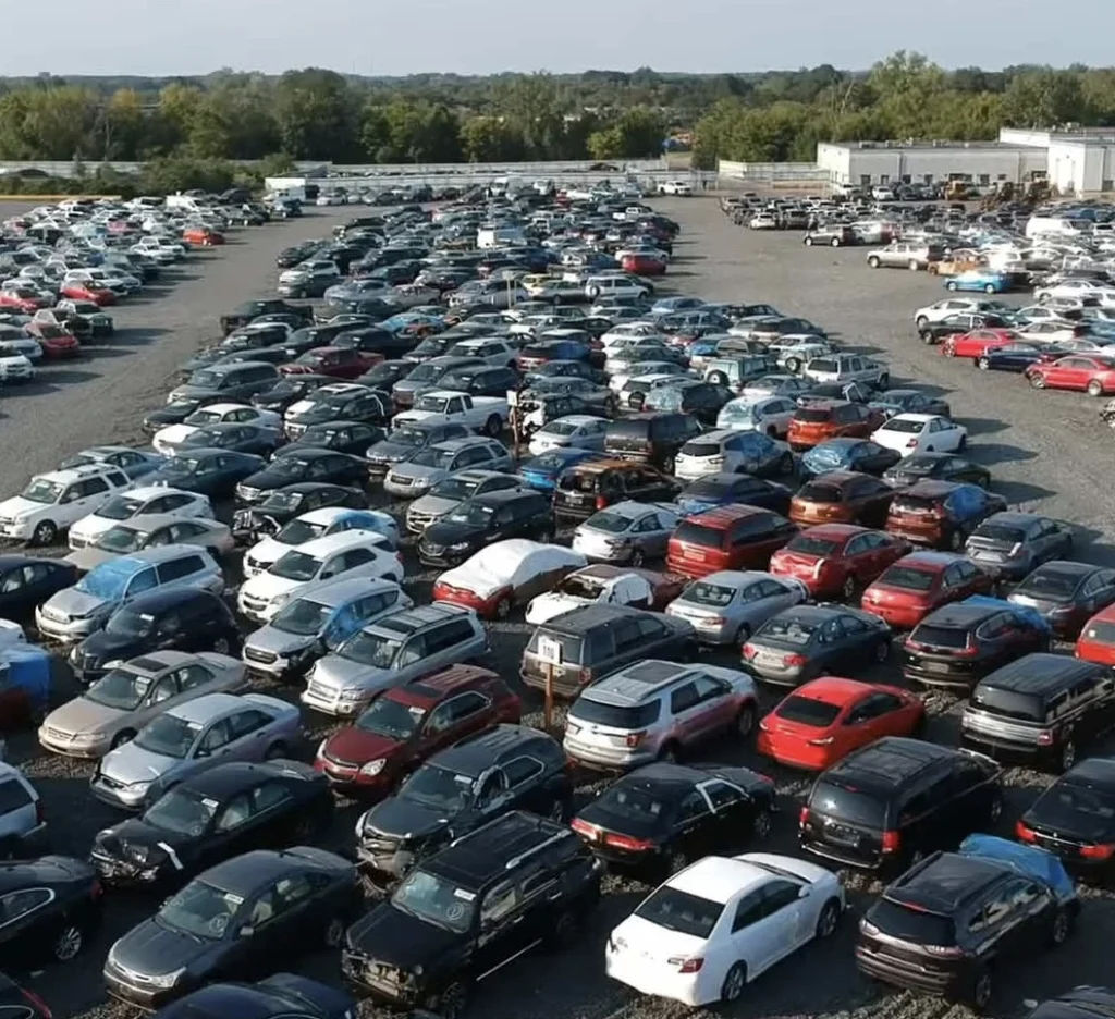 towing company vehicle storage